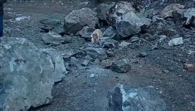 Dağdan Kaya Düştü, Araç Mucizevi Şekilde Kurtuldu!